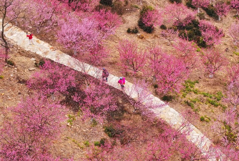 降准已在路上？专家：很可能安排在四季度